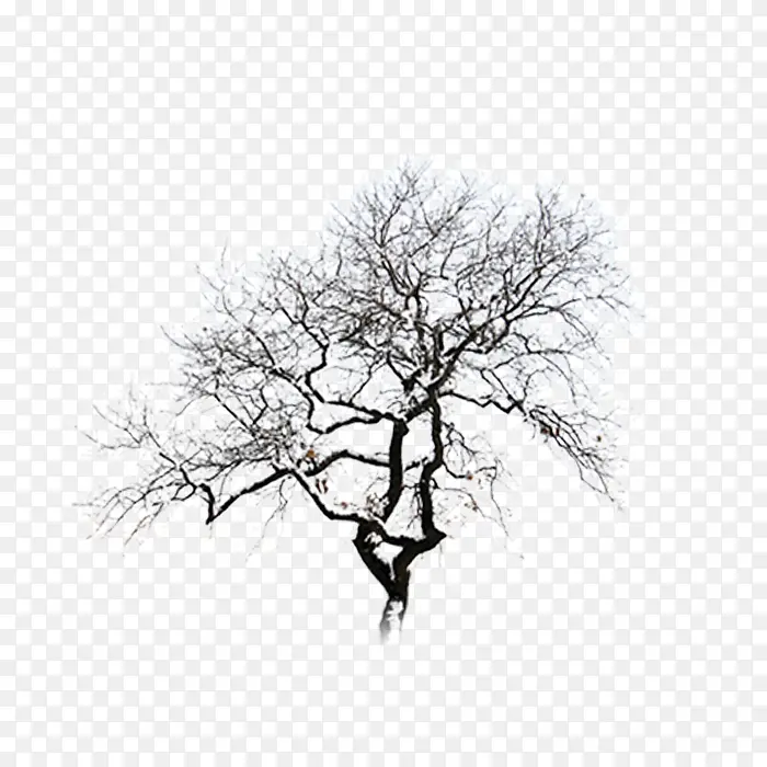 枯树剪影 艺术插画 树木素材 黑白背景PNG图片素材下载_图片编号qvnwvvdq-免抠素材网