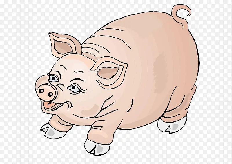 卡通手绘肥猪