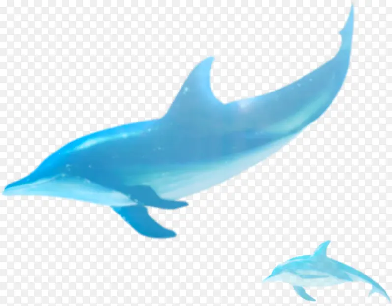 蓝鲸装饰素材图案