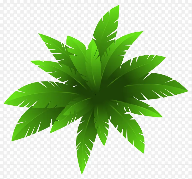 绿色热带植物元素
