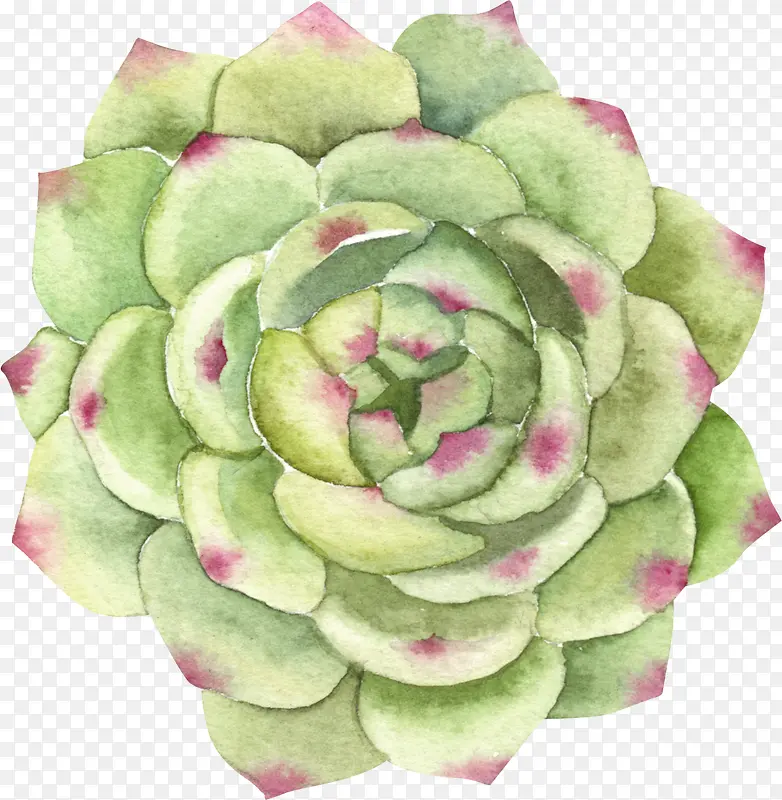 小清新插画广告设计卡通绿色盆栽