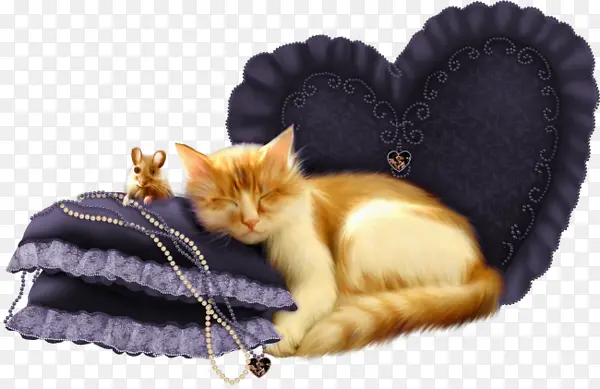 小猫和枕头