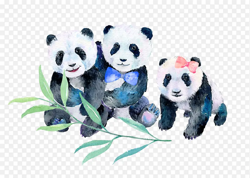 卡通手绘三只熊猫