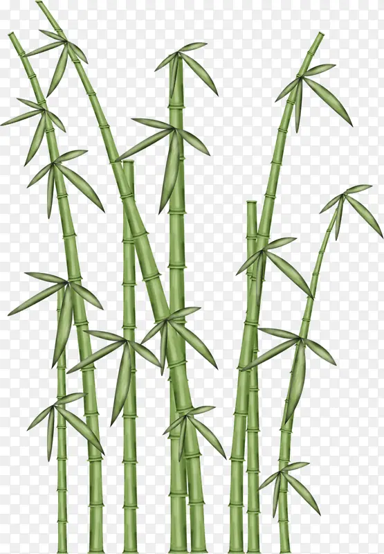 卡通手绘绿色竹子