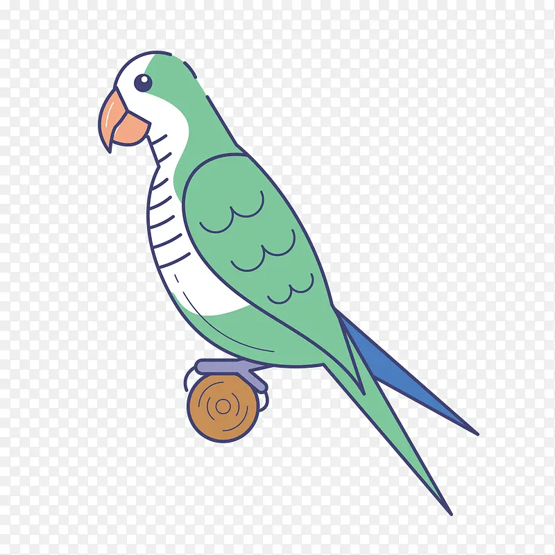 绿色小清新鸟雀鹦鹉