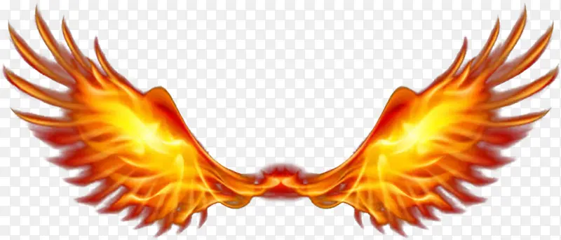 燃烧的翅膀