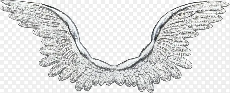 白色的翅膀PNG素材