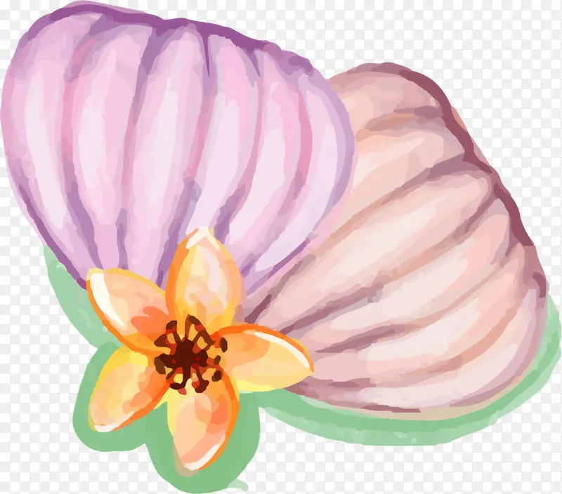 世界海洋日美丽多彩贝壳