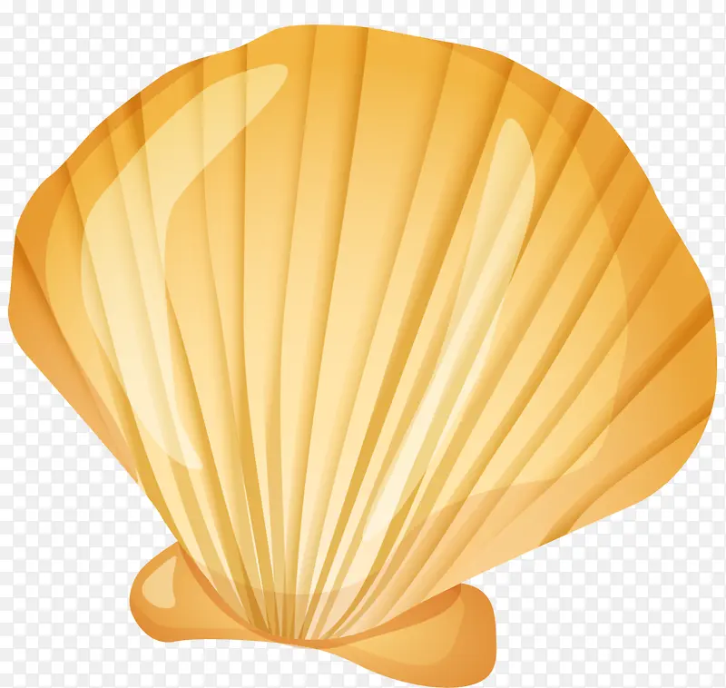 世界海洋日手绘贝壳