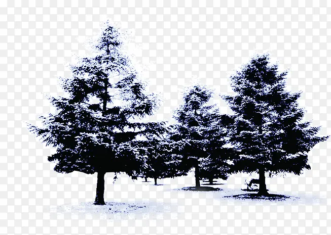 唯美创意冬天树