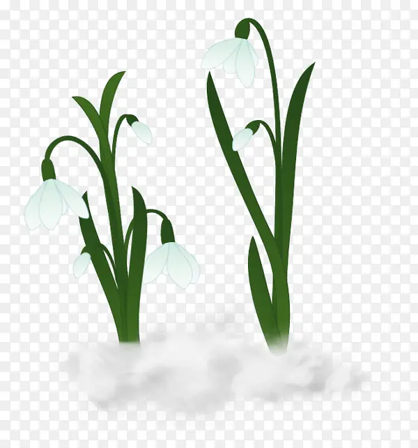 卡通水仙花绿草装饰