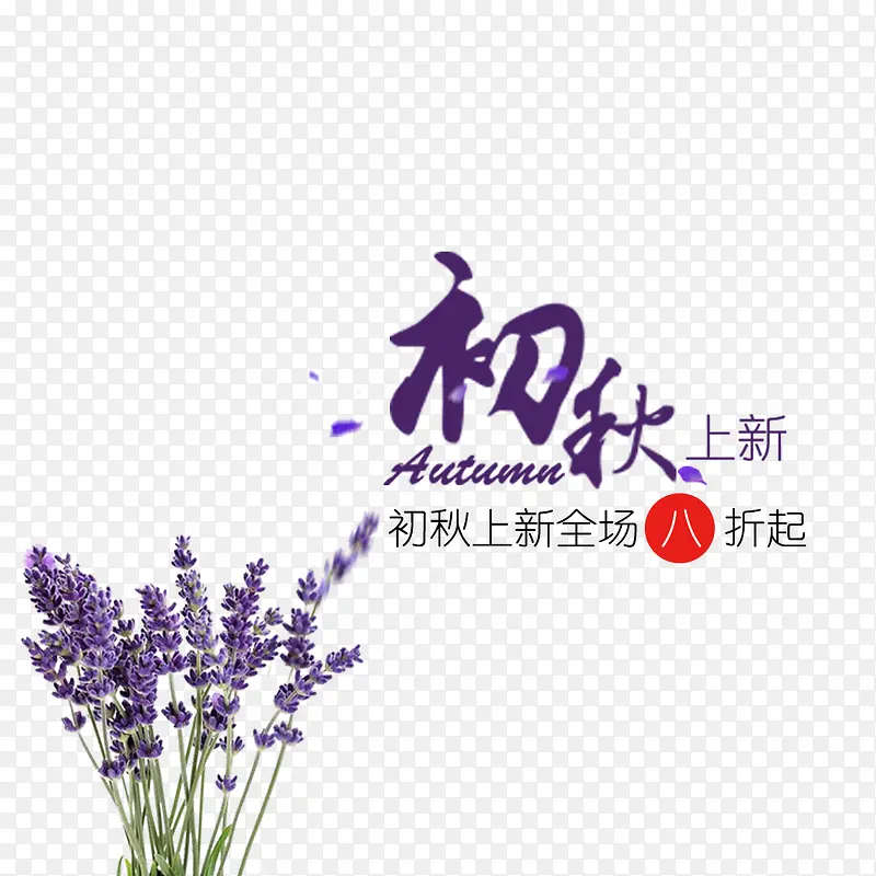 初秋上新