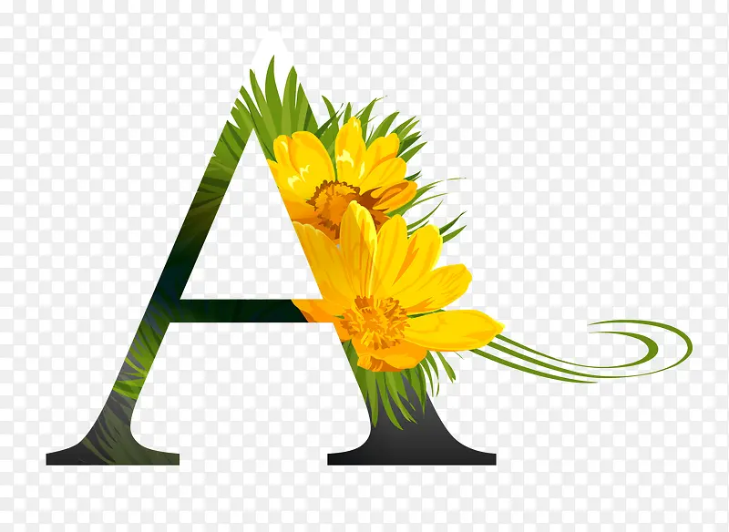 热带菊花英文字母字体设计