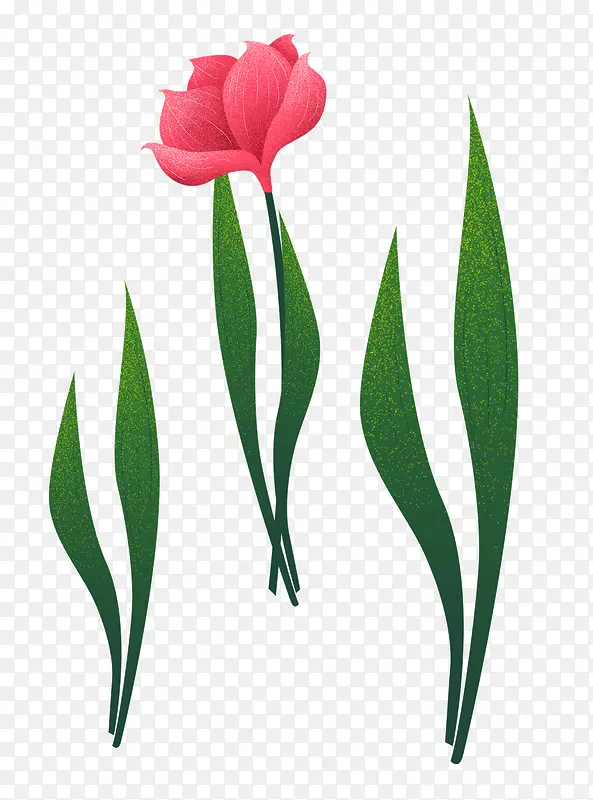 手绘花装饰花朵花草