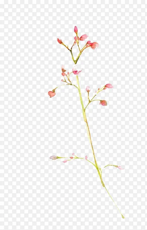 桃花开开图片素材