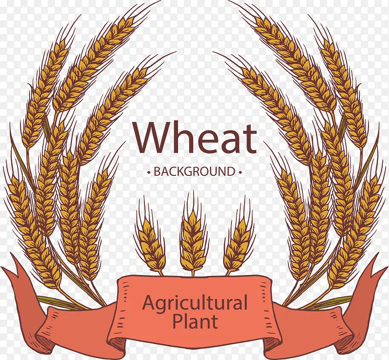 农作物小麦成熟海报