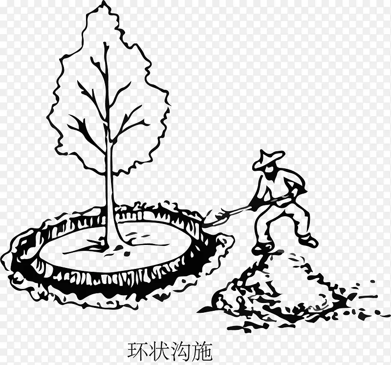 卡通树木环状沟施肥法透明png