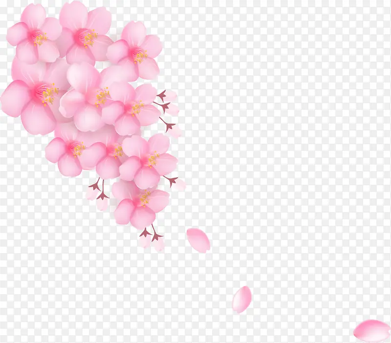 粉色樱花装饰图案