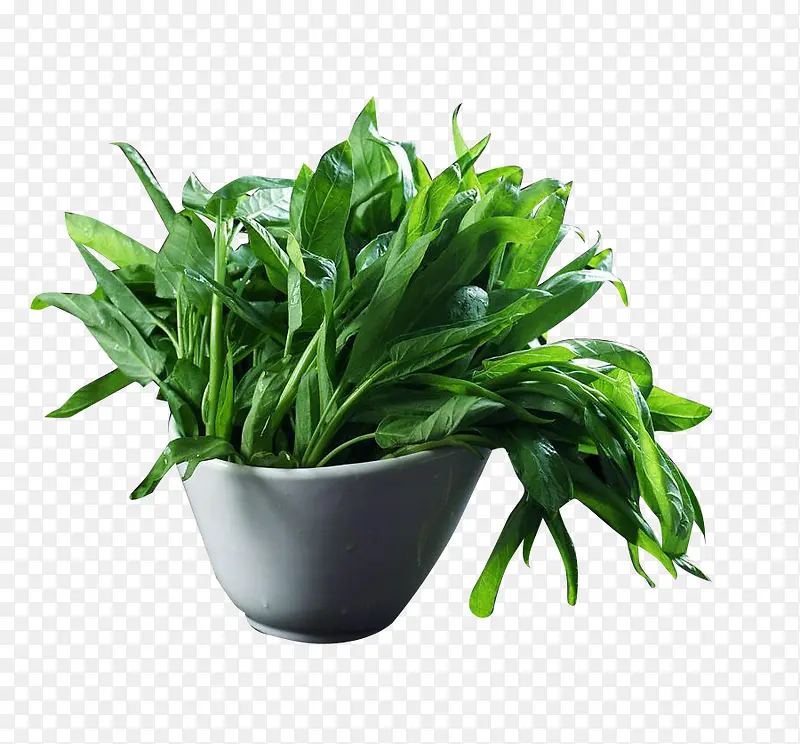 瓷碗里的空心菜