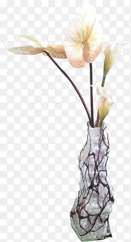 花瓶里的白色鲜花