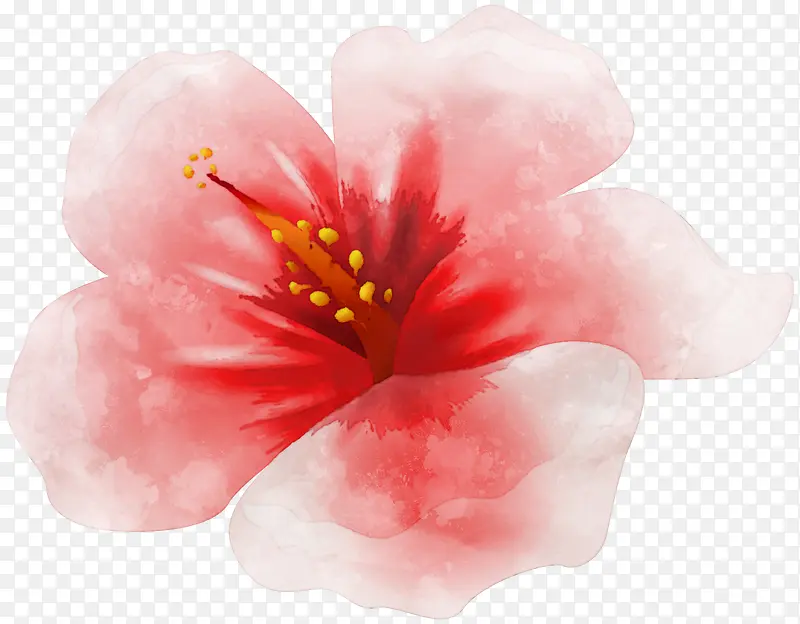 手绘水彩粉色桃花花朵
