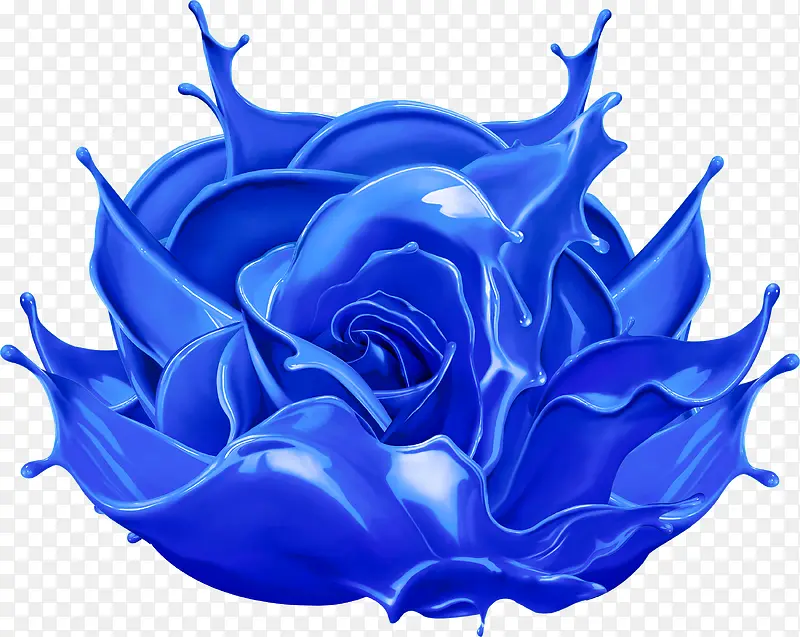 绽放的蓝油漆玫瑰花