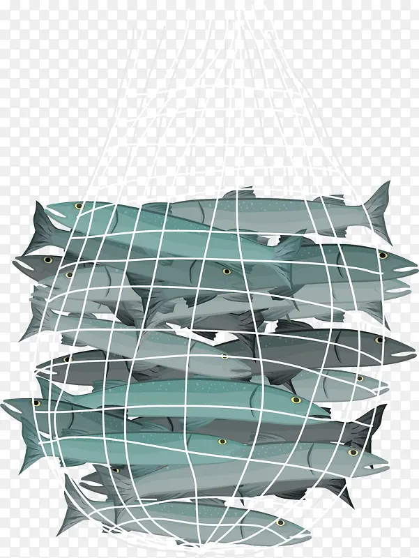 立体海鱼捕鱼渔网