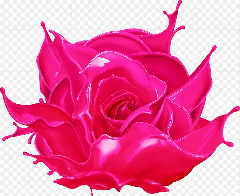 绽放的红色油漆玫瑰花