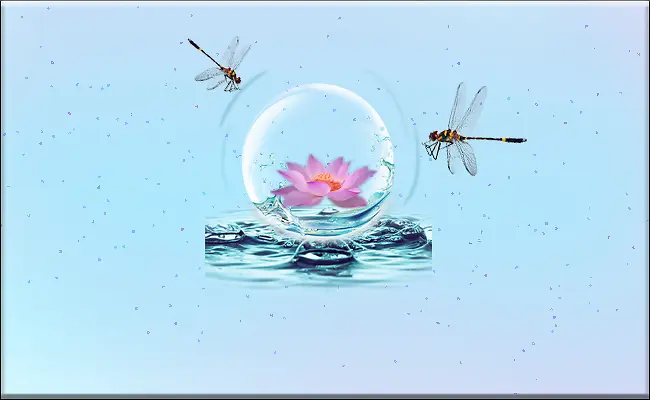 蜻蜓，荷花，水珠，背景