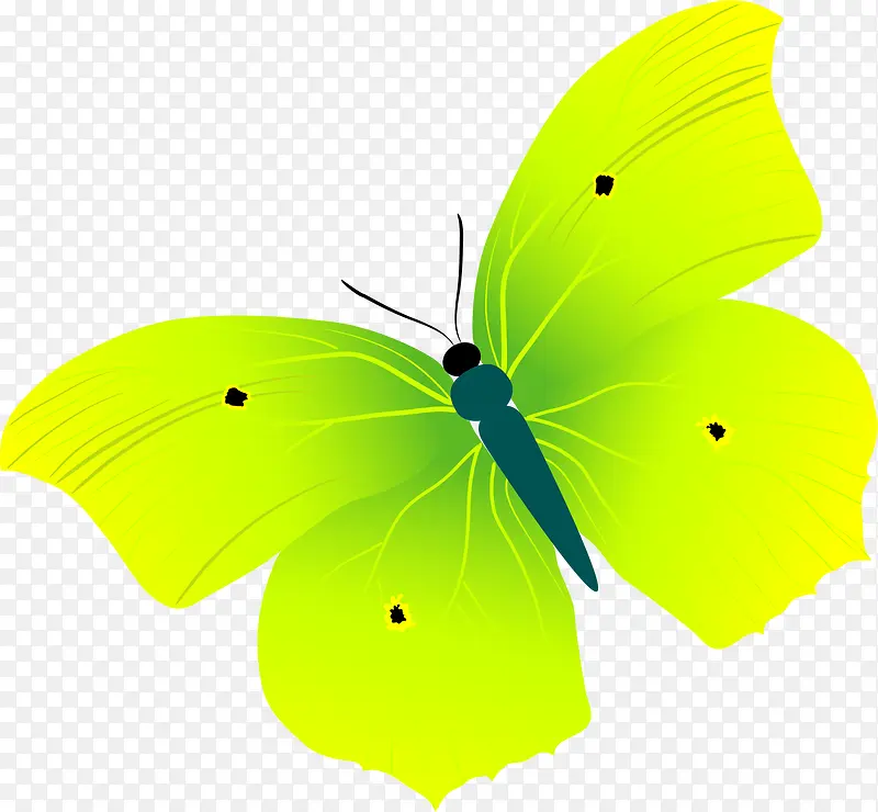 唯美绿色蝴蝶