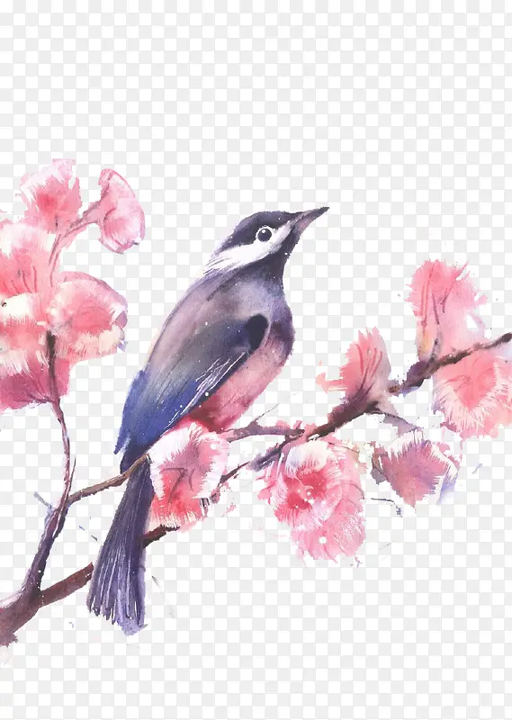 水彩手绘鸟儿与花朵