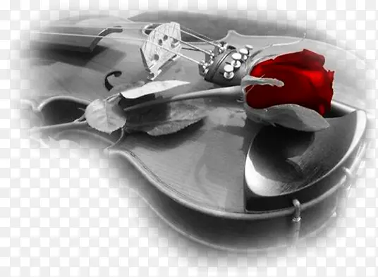 大提琴配玫瑰花