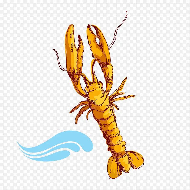 黄色手绘海洋龙虾