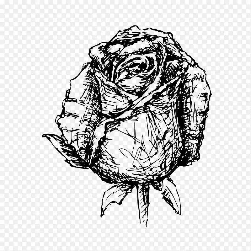 玫瑰花边花纹手绘