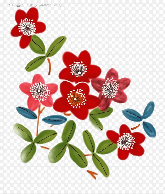 六朵耀眼的大红色花