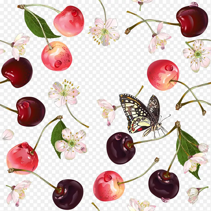 甜美樱桃水果矢量图