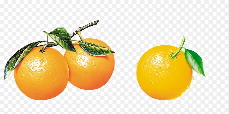 橙子b