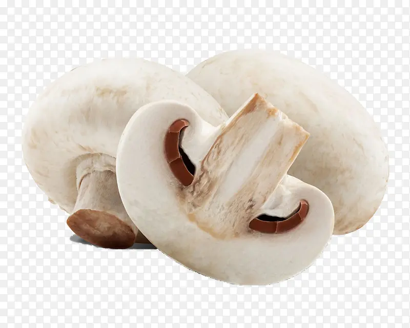 清新白色香菇