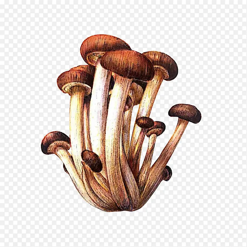 蘑菇装饰