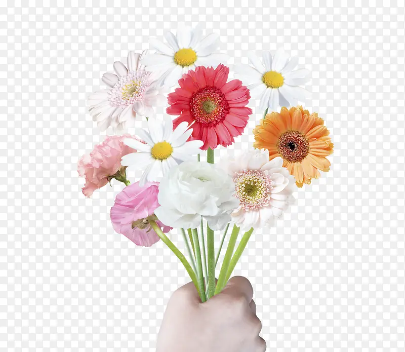韩式拿着鲜花的手