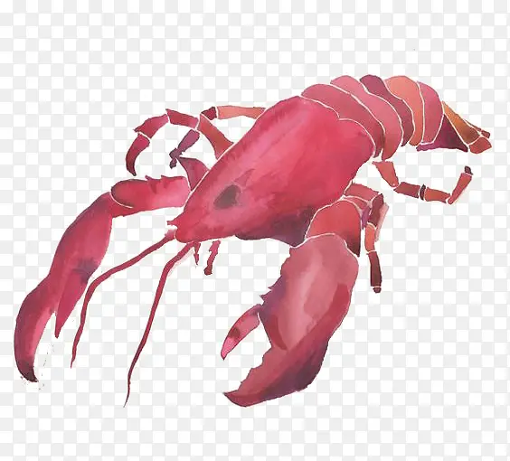 卡通龙虾