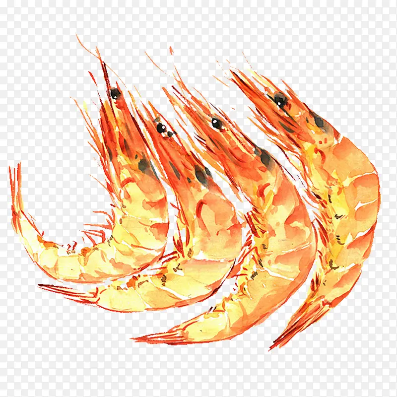 金黄色虾类图案绘画