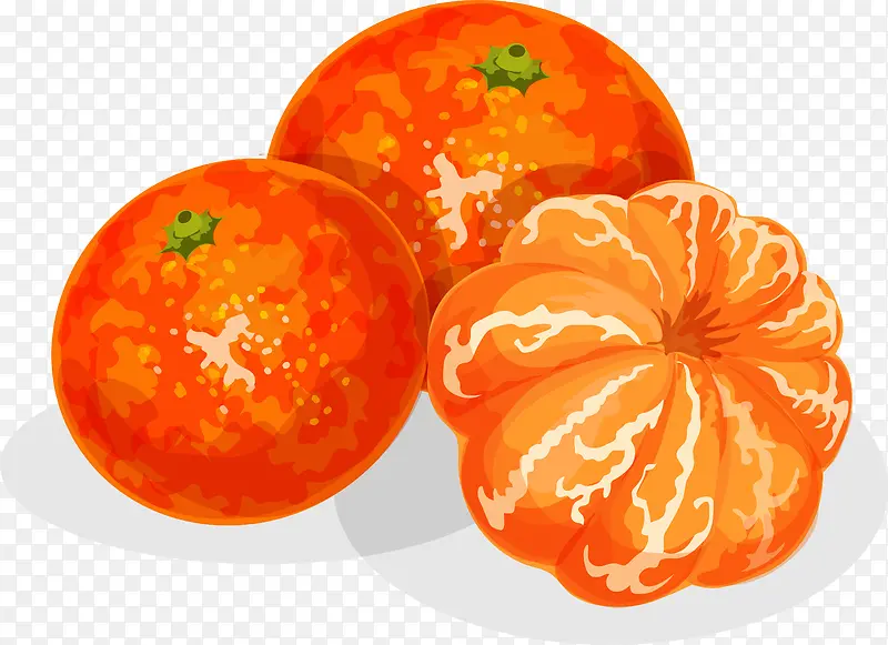 手绘橙子水果食物
