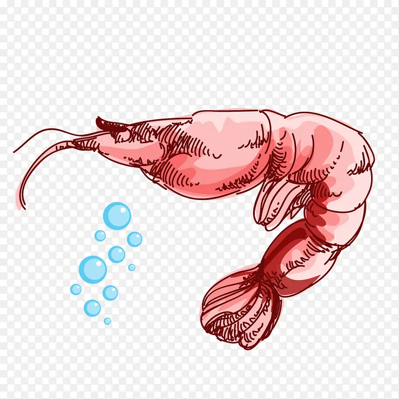 龙虾吐泡泡卡通图