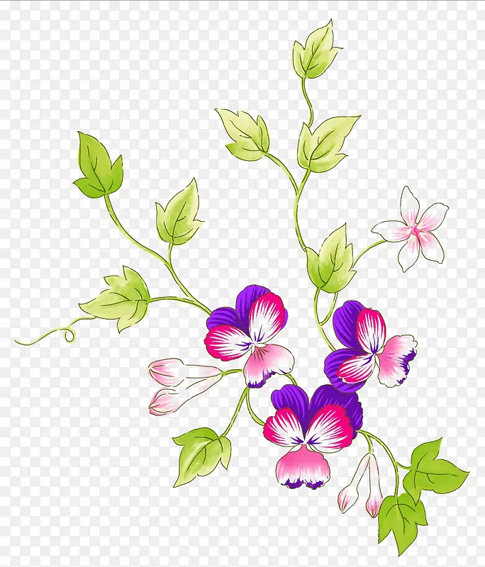 手绘紫色藤曼花朵