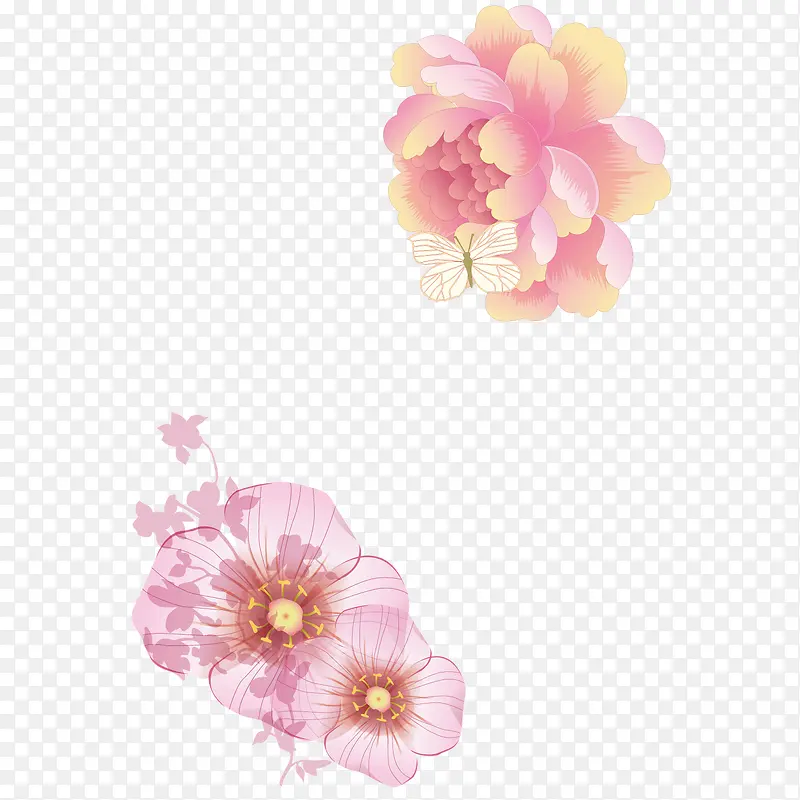 美丽牡丹花图案
