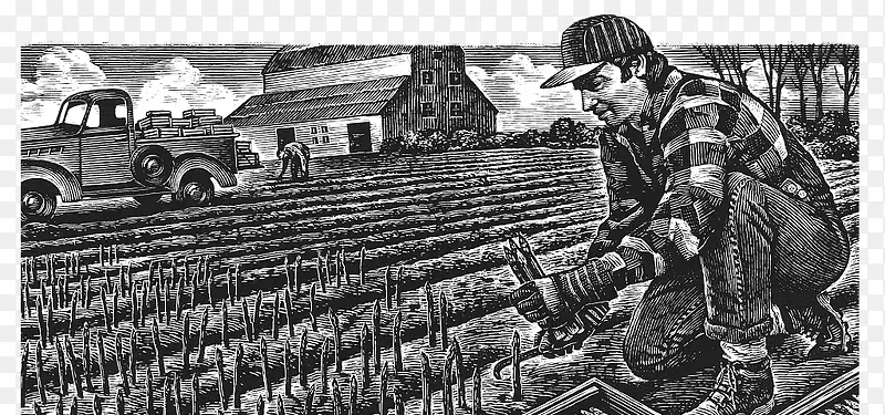 黑白手绘素描插画种地的农民