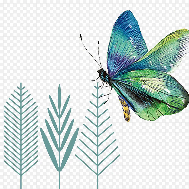 蓝绿色卡通蝴蝶