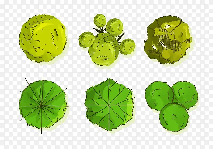 绿色小清新树木景观