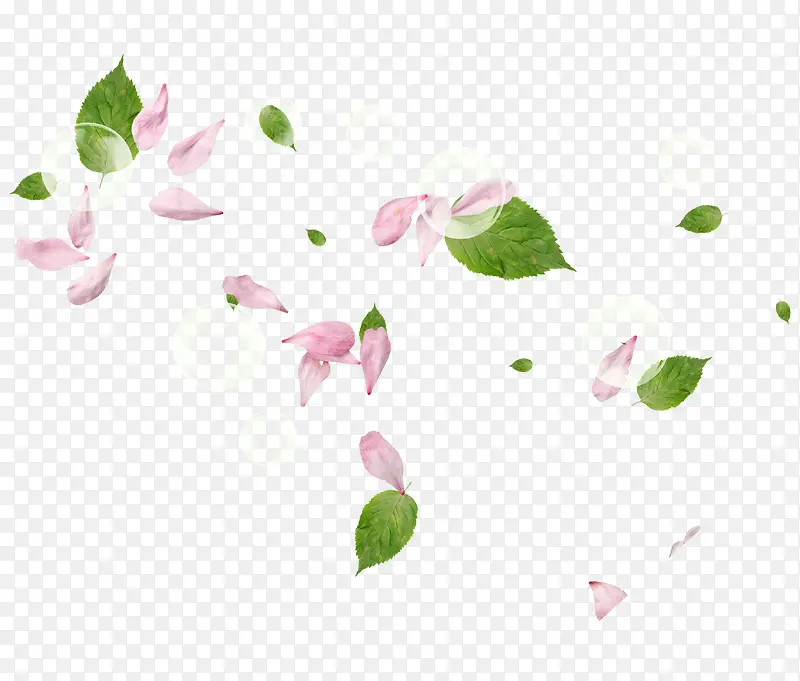 梦幻粉色的花瓣和叶子免抠素材